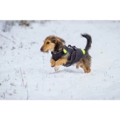 JULIUS K9 Multifunctional IDC 3in1 Dog Vest Life Vest -Dog Supplies Store 0001319 idc multifunctional dog vest 3 in 1 l