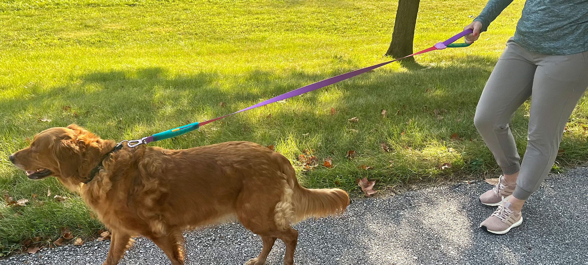 Dog Supplies Store 1 Dog Supplies Store -Dog Supplies Store 1