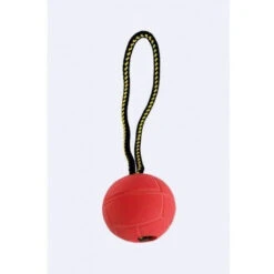 KLIN Solid Foam Ball On A Rope