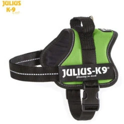 JULIUS K9 Original Powerharness Kiwi DISCONTINUED -Dog Supplies Store 162kw m 1