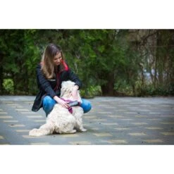 JULIUS K9 IDC Belt Harness Pink - NEW GENERATION -Dog Supplies Store 16503 IDC PN 15 1