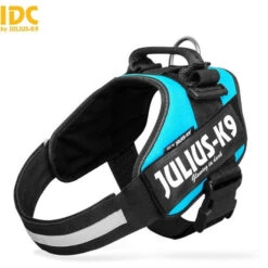 Dog Supplies Store 19 JULIUS K9 IDC Powerharness Aquamarine