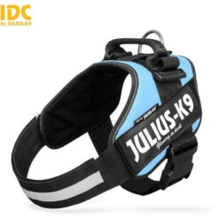 Dog Supplies Store 23 JULIUS K9 IDC Powerharness Sky Blue DISCONTINUED