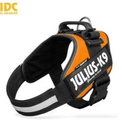JULIUS K9 IDC Powerharness Orange DISCONTINUED