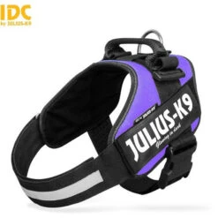JULIUS K9 IDC Powerharness Purple DISCONTINUED