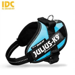 JULIUS K9 IDC Powerharness Aquamarine -Dog Supplies Store 16idc am mm
