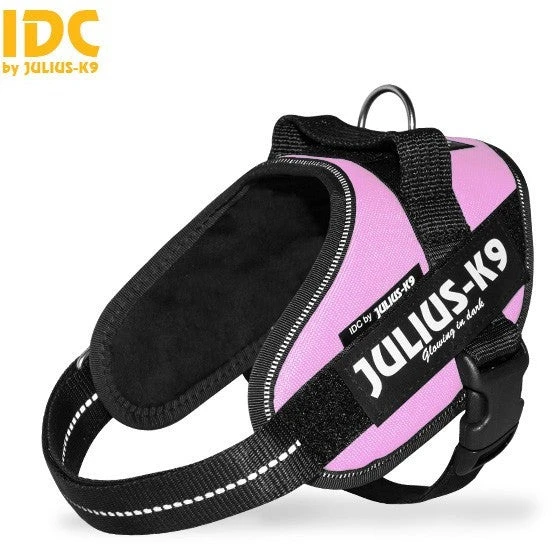 JULIUS K9 IDC Powerharness Pink 5 JULIUS K9 IDC Powerharness Pink - Image 3