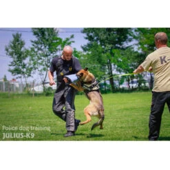 JULIUS K9 Short Sleeve 2in1 Incl. Cover DISCONTINUED -Dog Supplies Store 2 in 1 sleeve b4