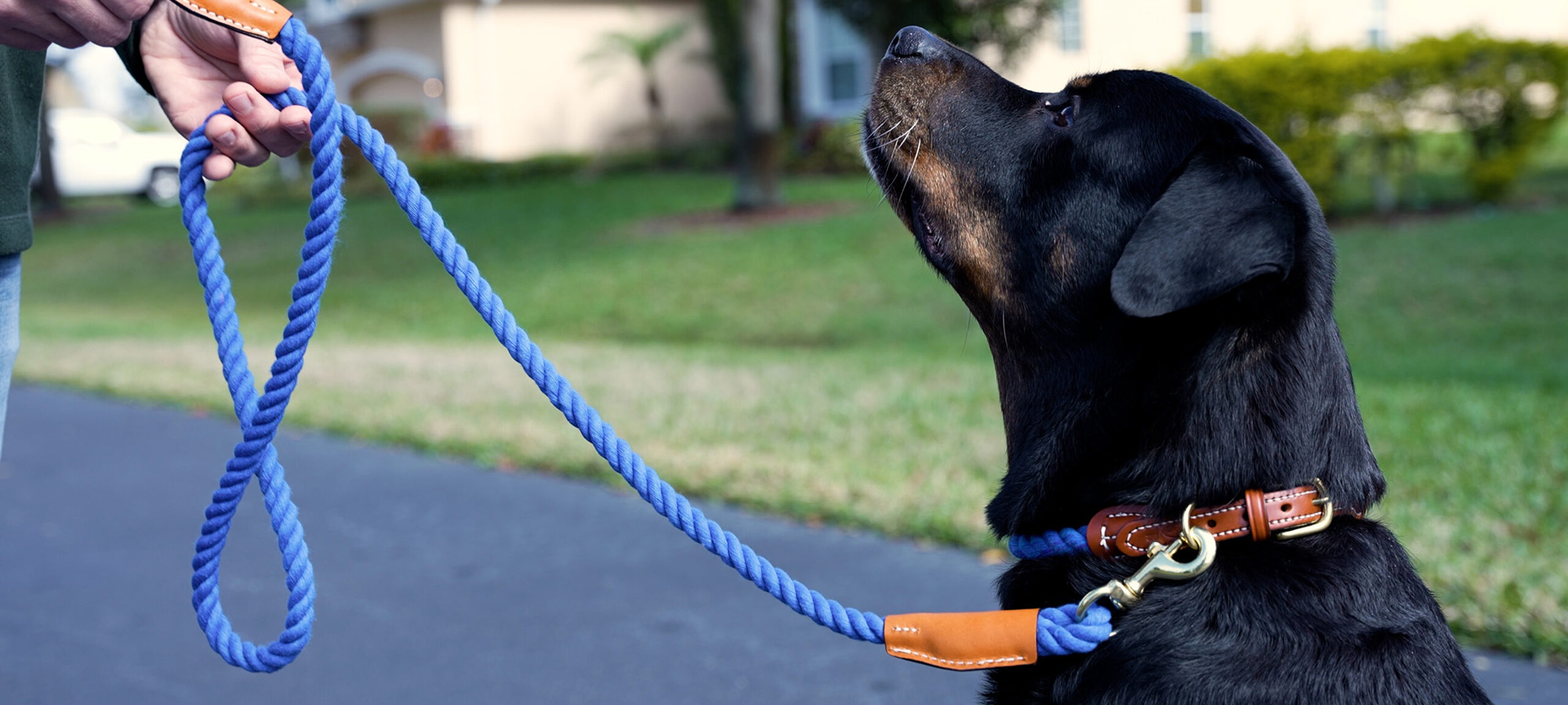 Dog Supplies Store 3 Dog Supplies Store -Dog Supplies Store 2