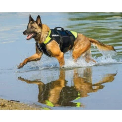 JULIUS K9 Multifunctional IDC 3in1 Dog Vest Life Vest -Dog Supplies Store 3in1vest