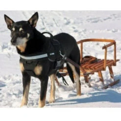 JULIUS K9 IDC Powerharness With Siderings (for Pulling Or Use In The Car) -Dog Supplies Store 401 2 500x500 1