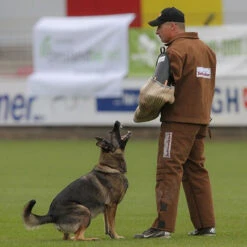 Schweikert AERO Scratch Jacket Protection Jacket Brown