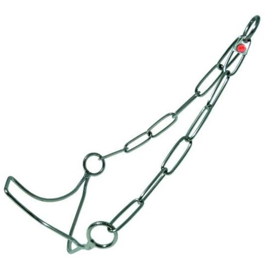 Sprenger Show Collar EXPERT Stainless Steel 3mm 4 Sprenger Show Collar EXPERT Stainless Steel 3mm - Image 2