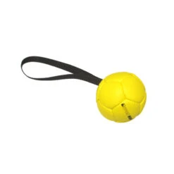Sporthund Stuffed Soccer Ball, Small