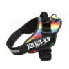JULIUS K9 IDC Powerharness Rainbow -Dog Supplies Store 81cZF YtBUL. SL1500