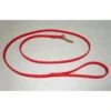 Biothane Leash, 4 Ft. (1.20m) Various Colors -Dog Supplies Store Biothane red