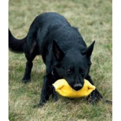 KLIN Small Bite Pillow With 3 Functions, French Linen -Dog Supplies Store Bite Pillow3Functions3