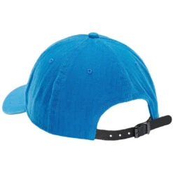 Strauss Hat Cap -Dog Supplies Store Cap blue back