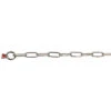 Sprenger Chain Collar Stainless Steel Long Link 3mm