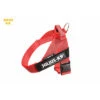 JULIUS K9 IDC Belt Harness Red - NEW GENERATION