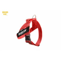 JULIUS K9 IDC Belt Harness Red - NEW GENERATION -Dog Supplies Store IDC color gray belt harnesses RED b3