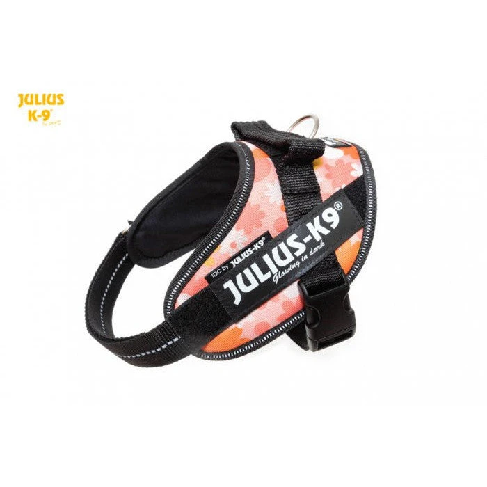 JULIUS K9 IDC Powerharness Pink Flowers 7 JULIUS K9 IDC Powerharness Pink Flowers - Image 5