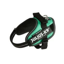 JULIUS K9 IDC Powerharness Grass Green -Dog Supplies Store IDC Green M
