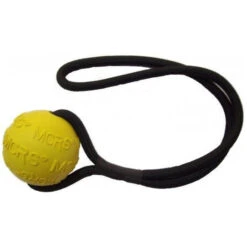 MCRS Magnet Ball On A String