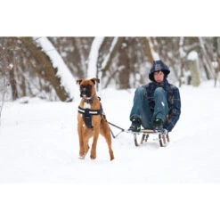 JULIUS K9 IDC Powerharness With Siderings (for Pulling Or Use In The Car) -Dog Supplies Store MG 6432 23c4cb32 363d 487e ba75 90e891a4ae9c