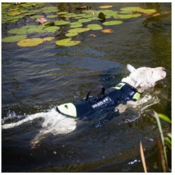 JULIUS K9 Multifunctional IDC 3in1 Dog Vest Life Vest -Dog Supplies Store Multifunctional IDC swimming vest 3in1 b5