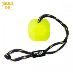 JULIUS K9 Neon Yellow Fluorescent IDC Ball, Medium Hard