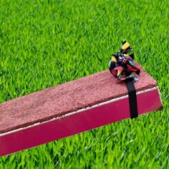 PawsMade™ Candy Catch Diver Package -Dog Supplies Store PawsMadeCandyCatchDiver3