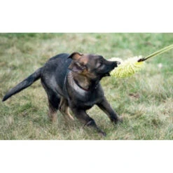 KLIN Puppy Toy, Microfiber With Bungee 7 KLIN Puppy Toy, Microfiber With Bungee -Dog Supplies Store PuppyToy microfiber2 435858ff e6a5 499a bae3 4b947f3e4b87