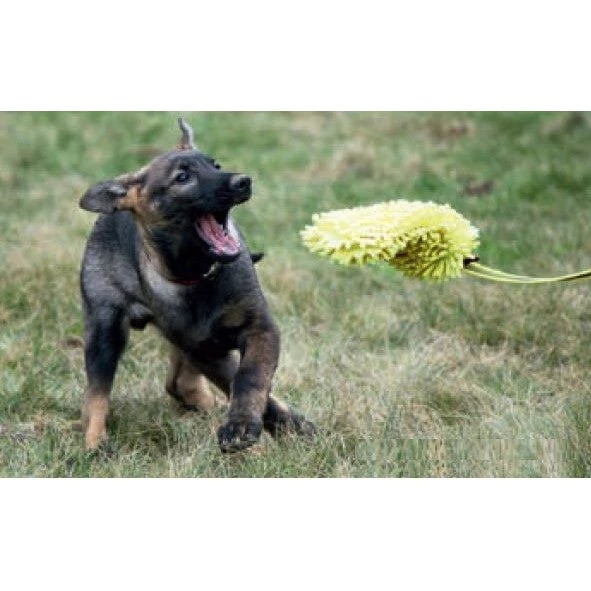 KLIN Puppy Toy, Microfiber With Bungee 4 KLIN Puppy Toy, Microfiber With Bungee - Image 2