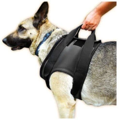 JULIUS K9 Rehabilitaion Harness Walking Support For Injured Dogs (Shoulder)