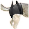 JULIUS K9 Rehabilitaion Harness Walking Support For Injured Dogs (Hips) -Dog Supplies Store Rehabilitation rear1
