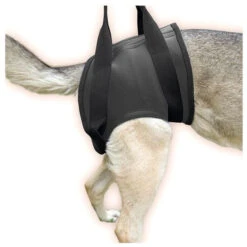 JULIUS K9 Rehabilitaion Harness Walking Support For Injured Dogs (Hips)