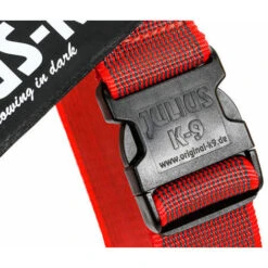 JULIUS K9 IDC Belt Harness Red - NEW GENERATION -Dog Supplies Store cg belt buckleneu