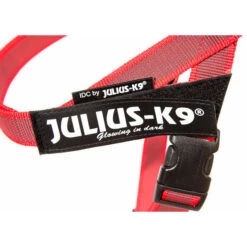 JULIUS K9 IDC Belt Harness Red - NEW GENERATION -Dog Supplies Store cg belt labelneu