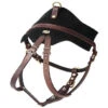 KLIN Leather Tracking Harness Dr. Raiser