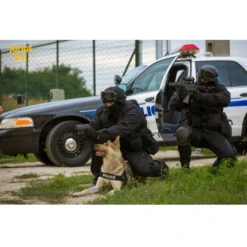 JULIUS K9 IDC STEALTH Tactical Harness POLICE MILITARY PROTECTION -Dog Supplies Store image 22923 bb426427 abfa 4b58 bb6f 598465eb0414