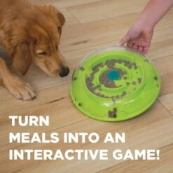 Nina Ottosson By Outward Hound Interactive Dog Game Wobble Bowl -Dog Supplies Store nina ottosson WobbleBowl3