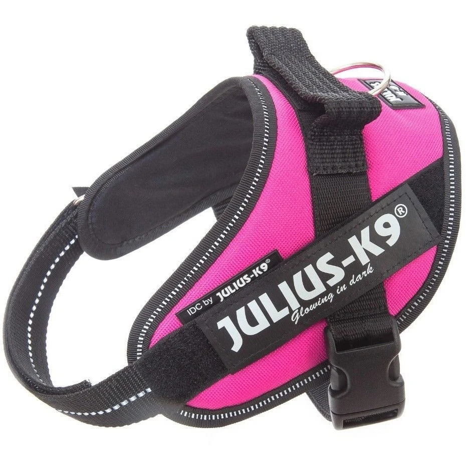JULIUS K9 IDC Powerharness Dark Pink 6 JULIUS K9 IDC Powerharness Dark Pink - Image 4