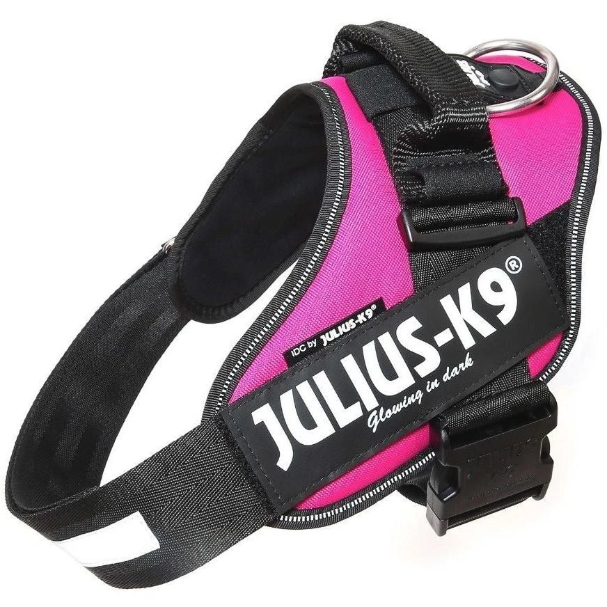 JULIUS K9 IDC Powerharness Dark Pink 4 JULIUS K9 IDC Powerharness Dark Pink - Image 2