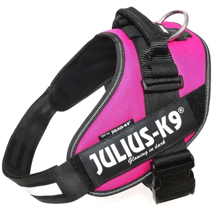 JULIUS K9 IDC Powerharness Dark Pink 3 JULIUS K9 IDC Powerharness Dark Pink