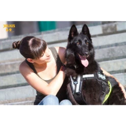 Padded Chest Belt For JULIUS K9 Original Powerharness (Y-Strap) -Dog Supplies Store y belt picture